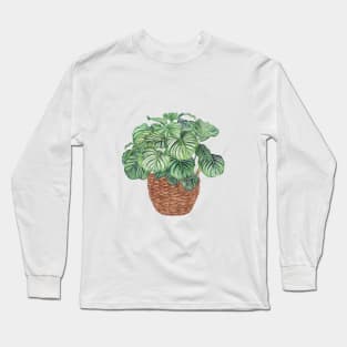 Potted Calathea Orbifolia Plant Long Sleeve T-Shirt